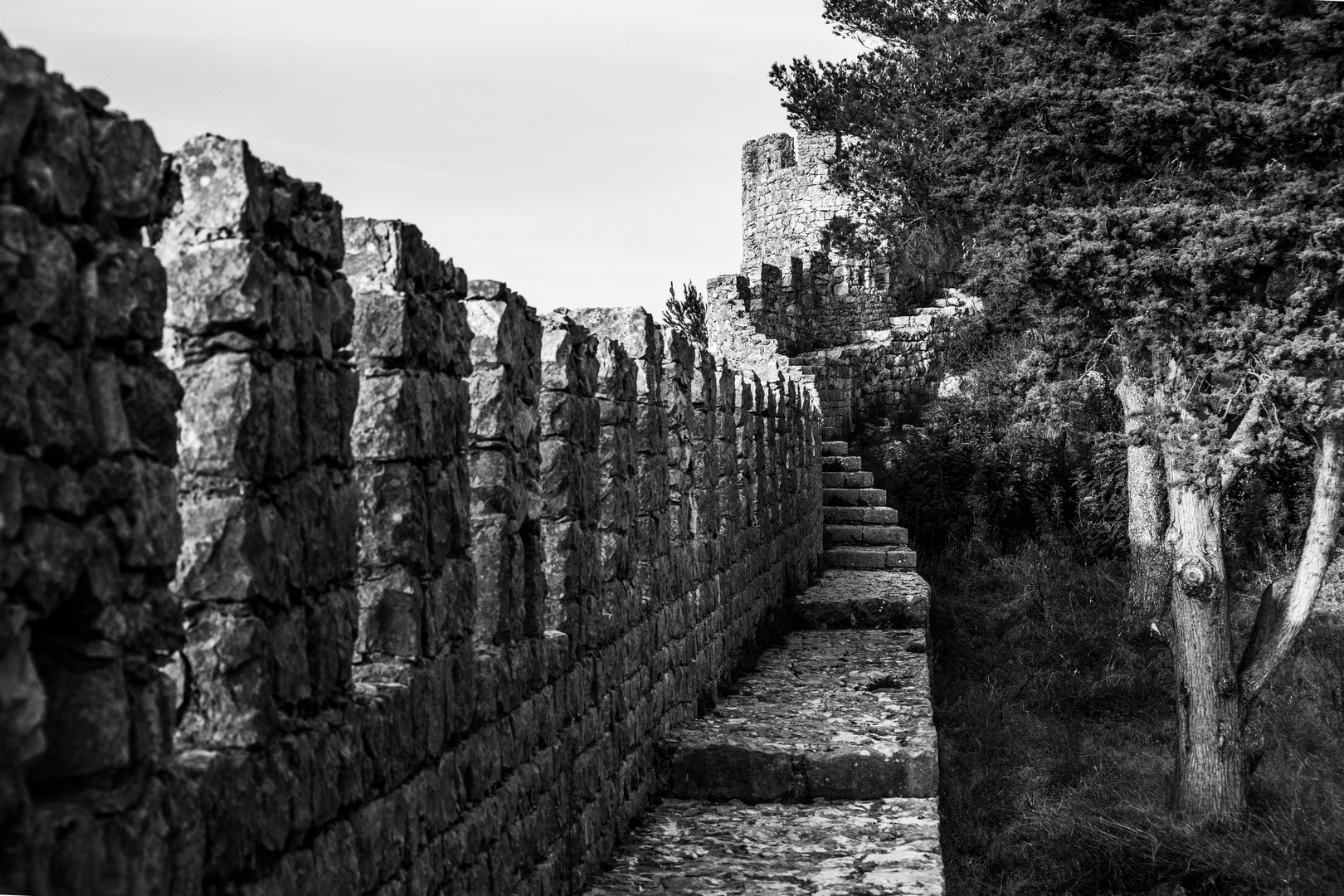 Castelho de Sesimbra