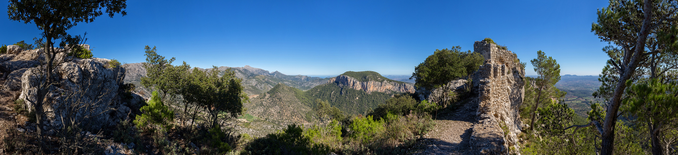 Castell D'Alaro