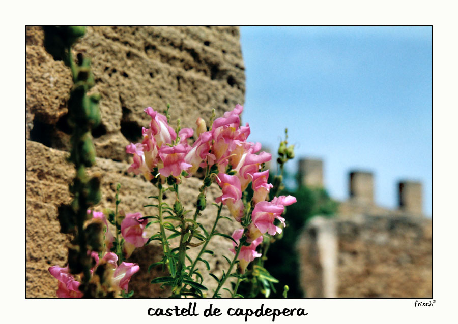 [castell de capdepera]