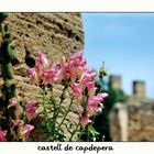 [castell de capdepera]