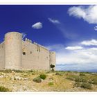 Castell de Montgri