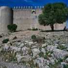 Castell de Montgri 