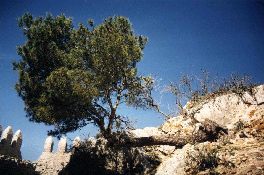 Castell de Santueri, Mallorca