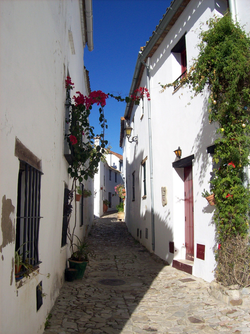 CASTELLAR DE LA FRA-CÁDIZ