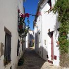 CASTELLAR DE LA FRA-CÁDIZ