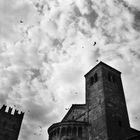 Castellarquato, 25 ASA