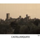 Castell'Arquato (PC)