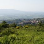 Castellina Marittima