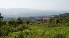 Castellina Marittima