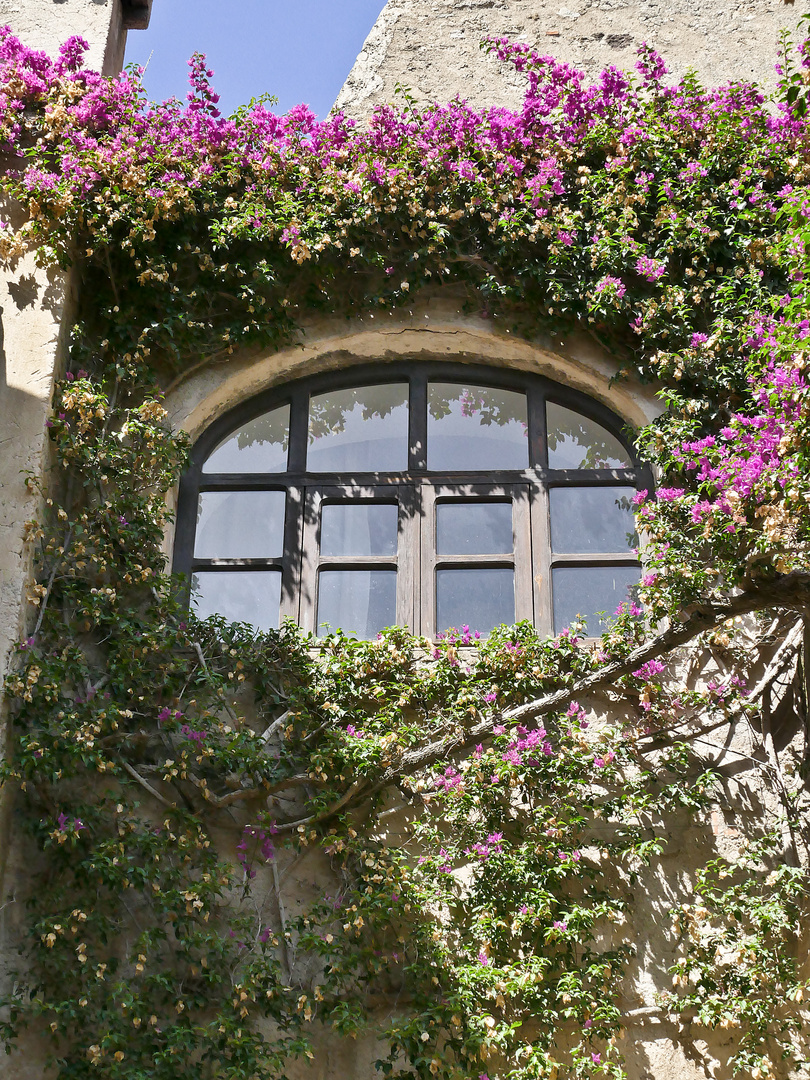 CASTELLO ARAGONESE DETAIL