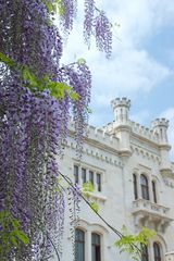 Castello di Miramare