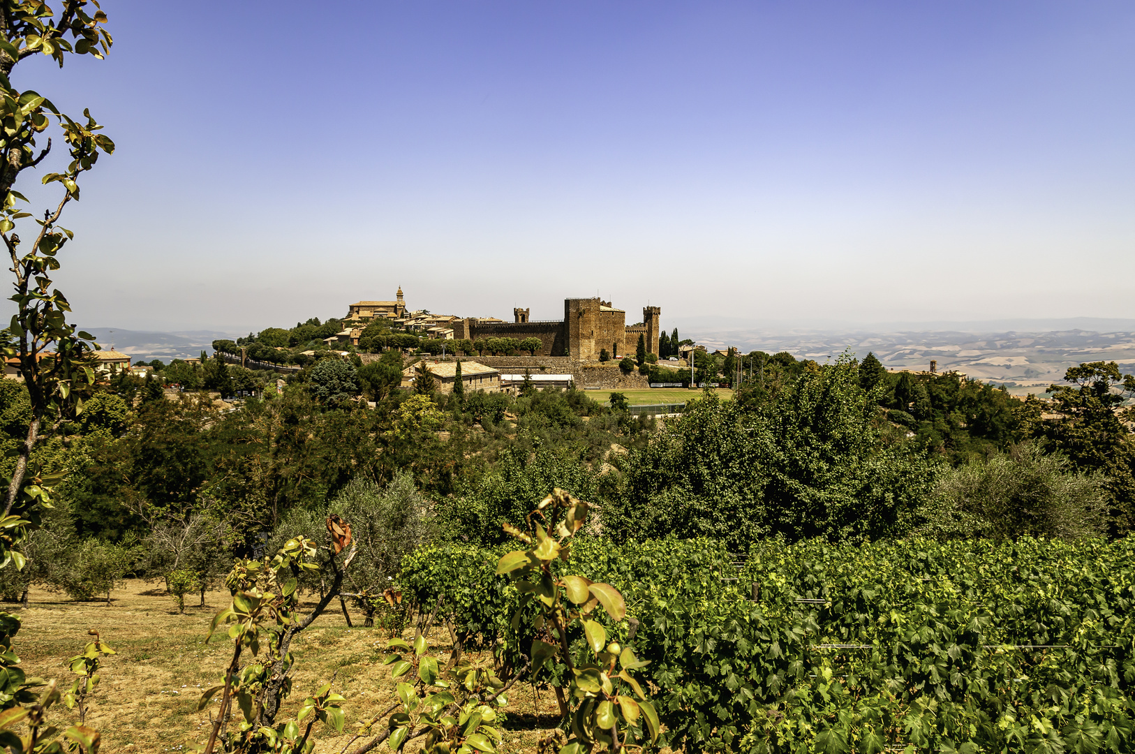 Castello di Montalcino