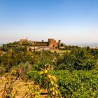 Castello di Montalcino