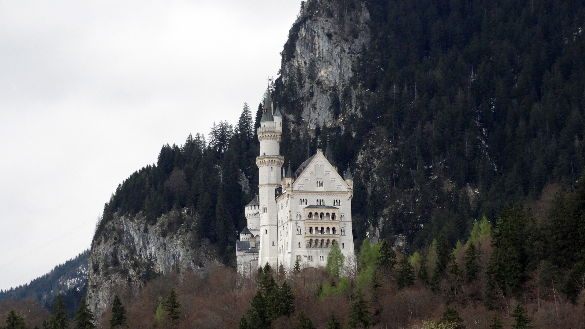 Castello di Neuschwanstein ( citta' di Schawangau Baviera) Germania