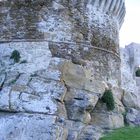 Castello di Populonia - fondamenta della torre