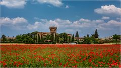 Castello Di Spedaletto