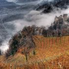 Castello di Tirolo in HDR