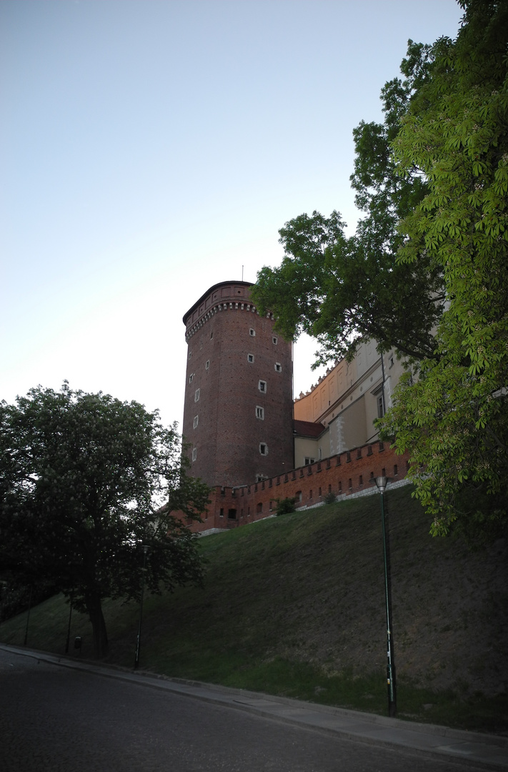 Castello di Wawel