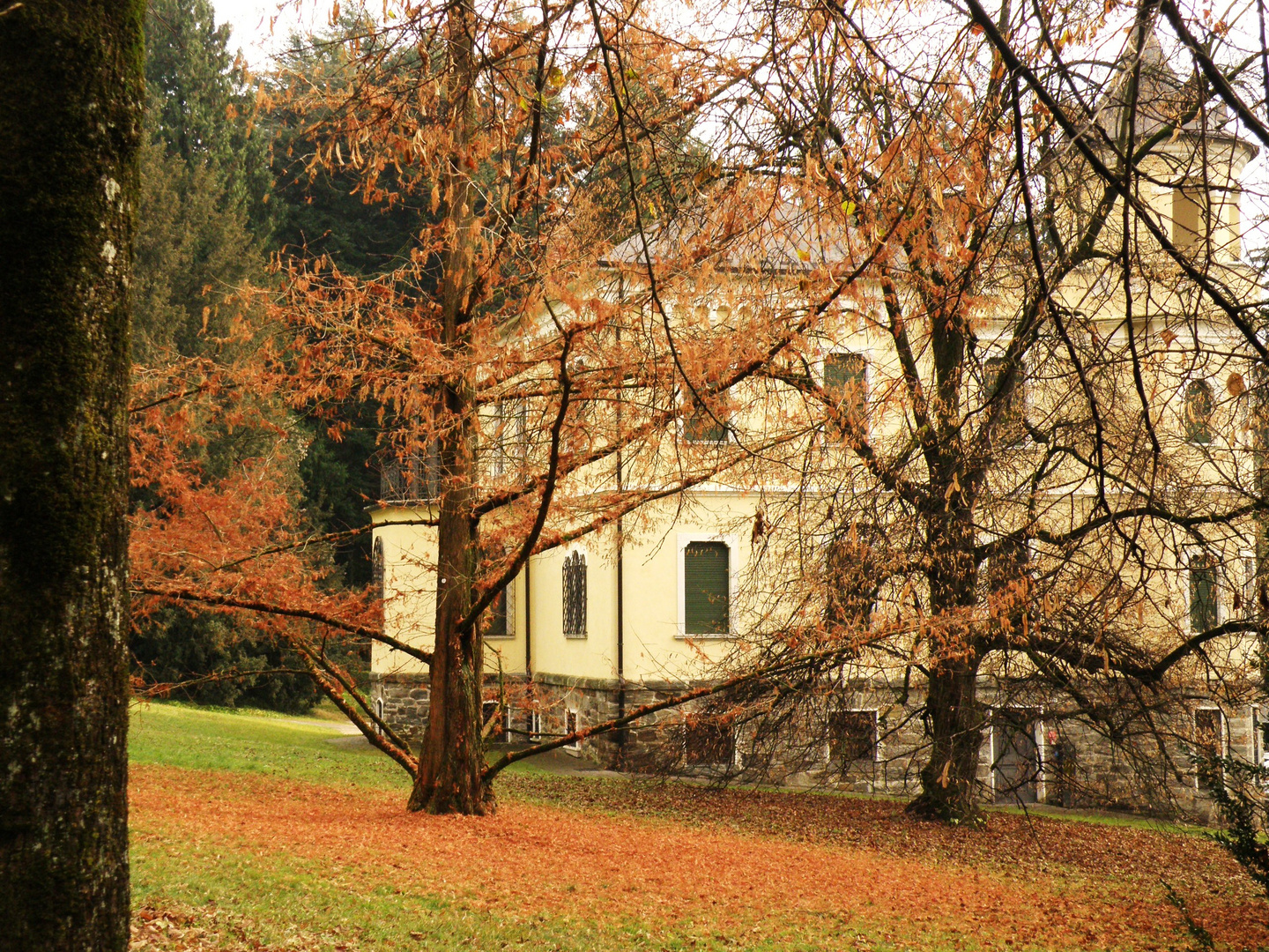 castello nel bosco