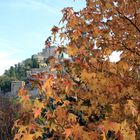 Castello ORSINI in autunno