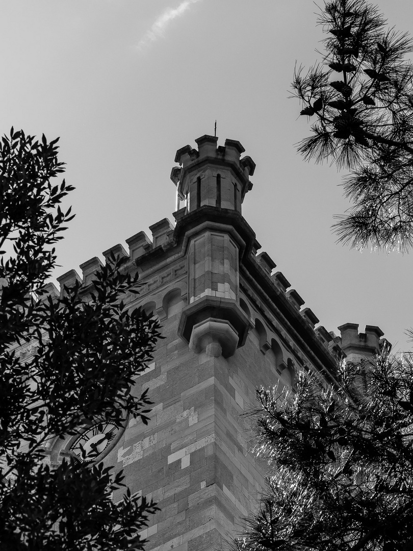 Castello through the trees