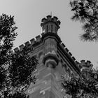 Castello through the trees