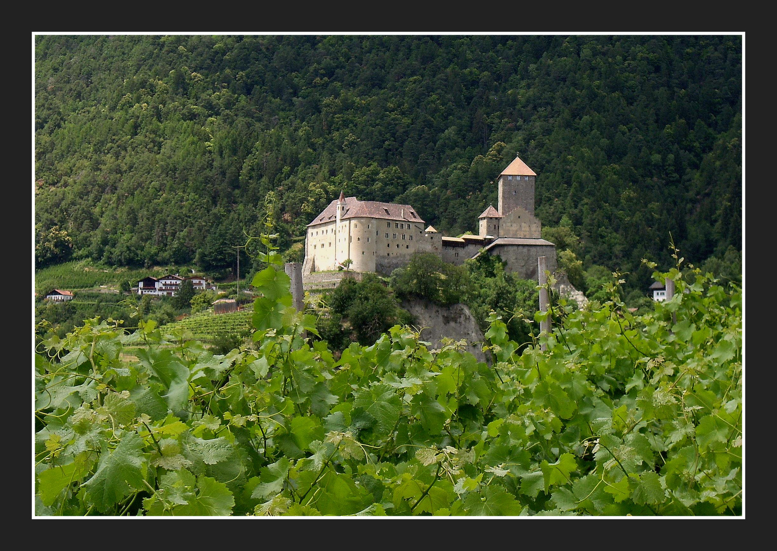 Castello Tirolo