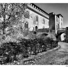 Castello Visconteo, Pavia