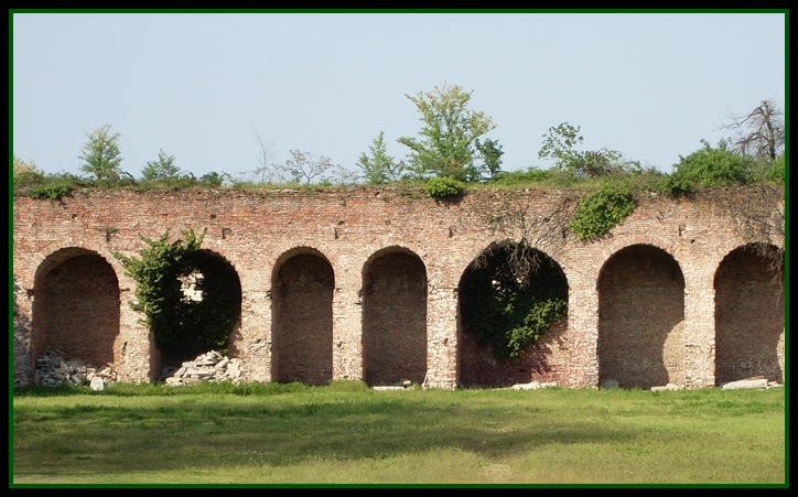 castello visconteo - pavia