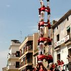 Castells-L'Arbós