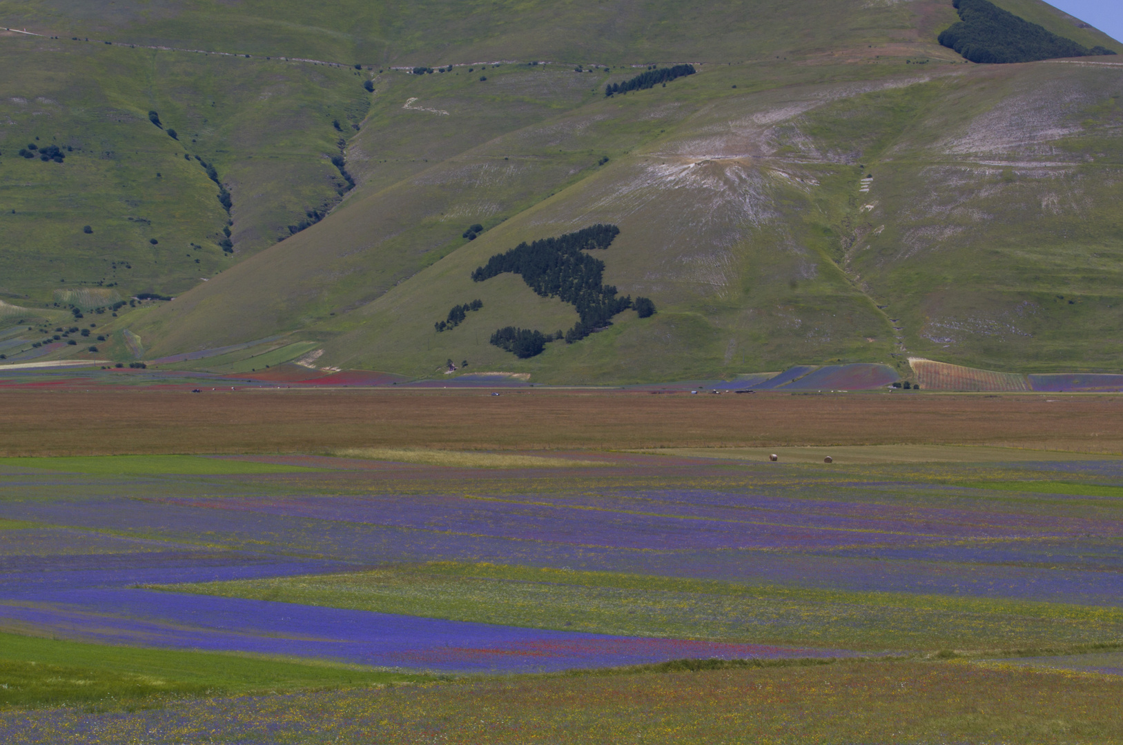 Castelluccio