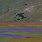 Castelluccio