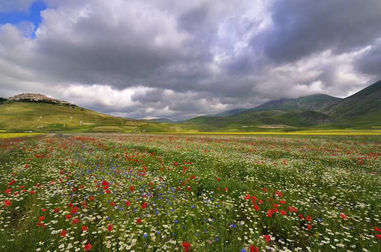 Castelluccio