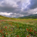 Castelluccio