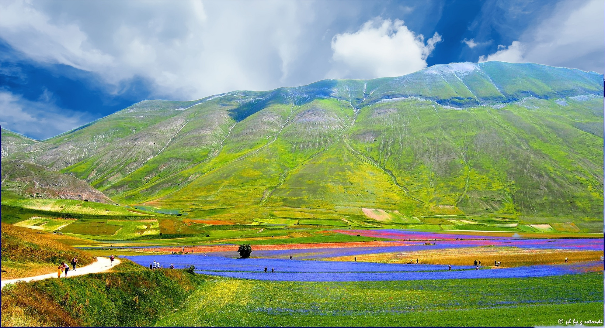 Castelluccio