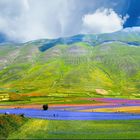 Castelluccio