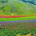 Castelluccio]