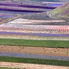 castelluccio 12