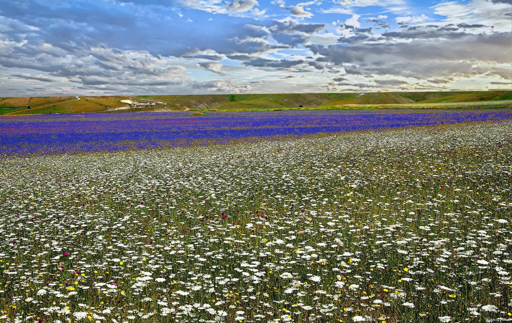 Castelluccio