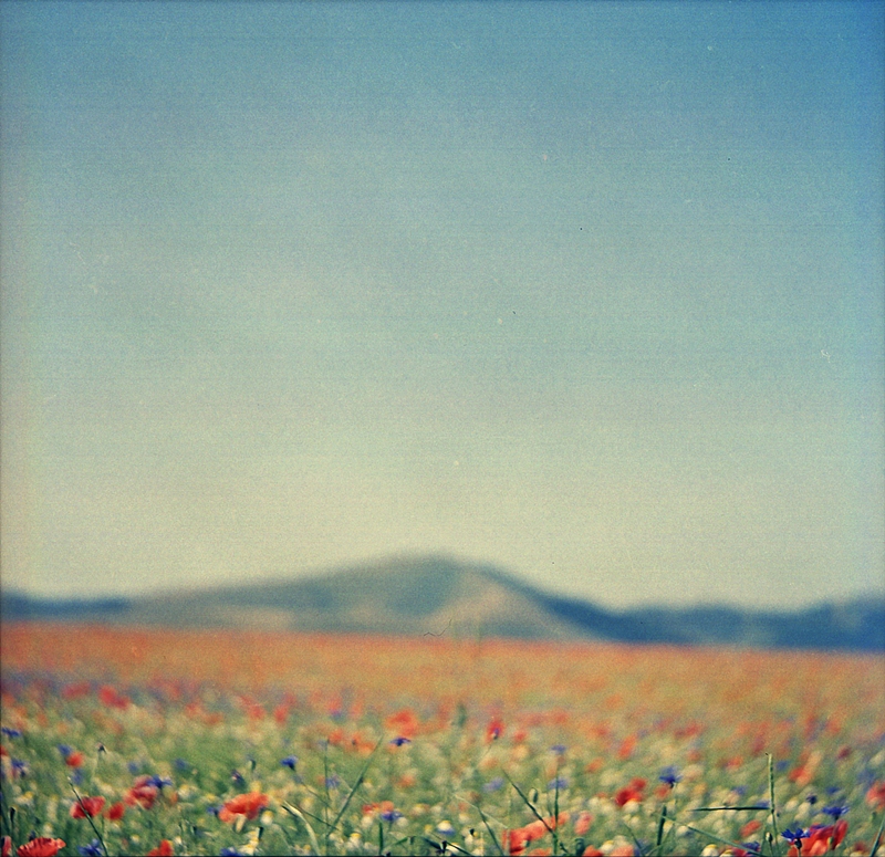 Castelluccio