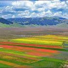 Castelluccio