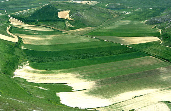 Castelluccio 2