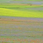 CASTELLUCCIO 2