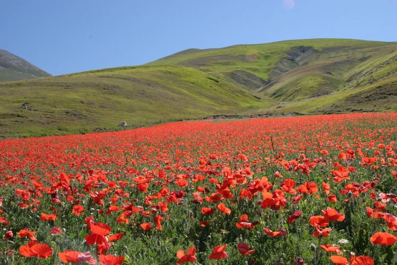 Castelluccio 2