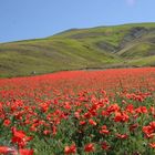 Castelluccio 2