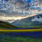 Castelluccio 2015