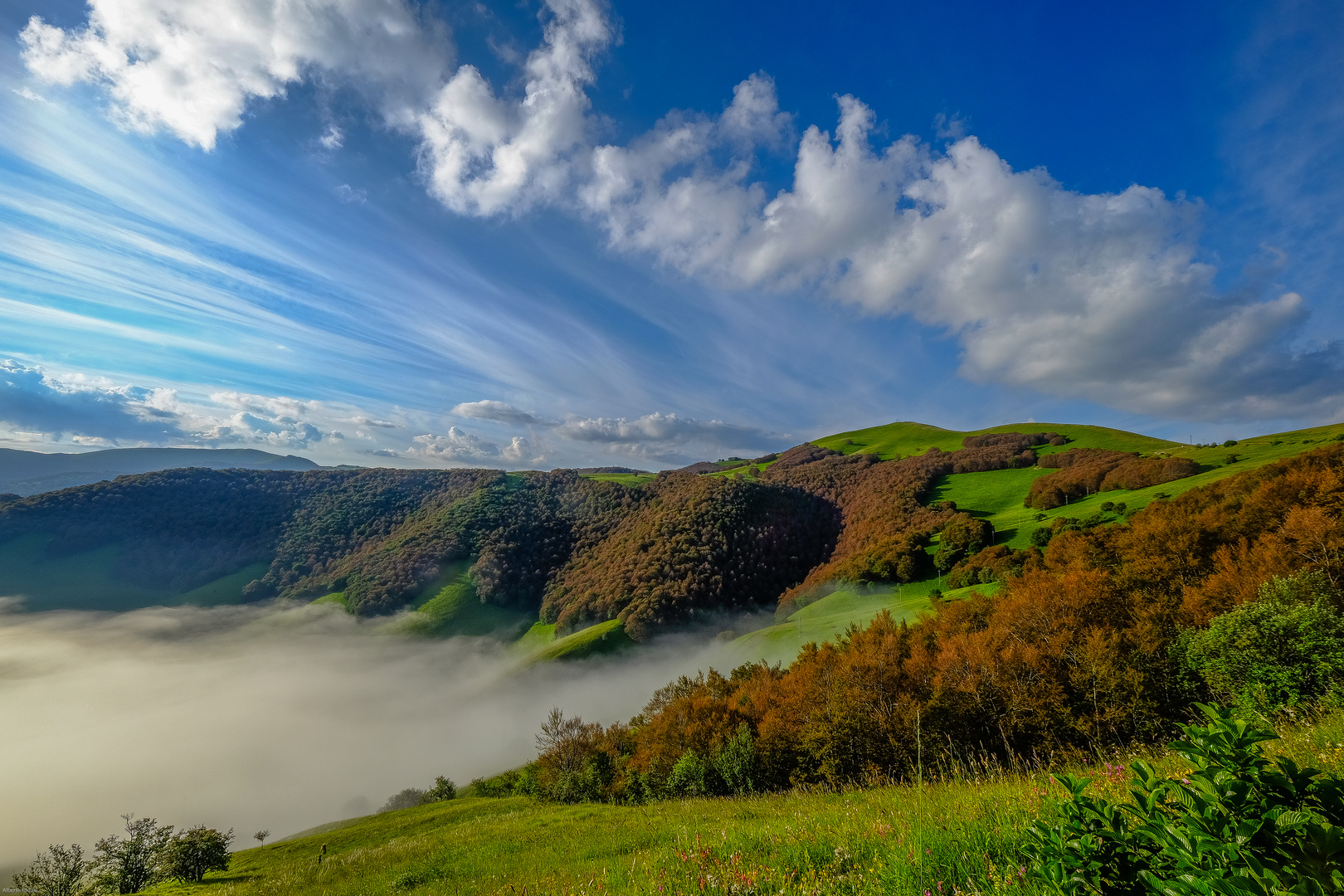 CASTELLUCCIO 2016