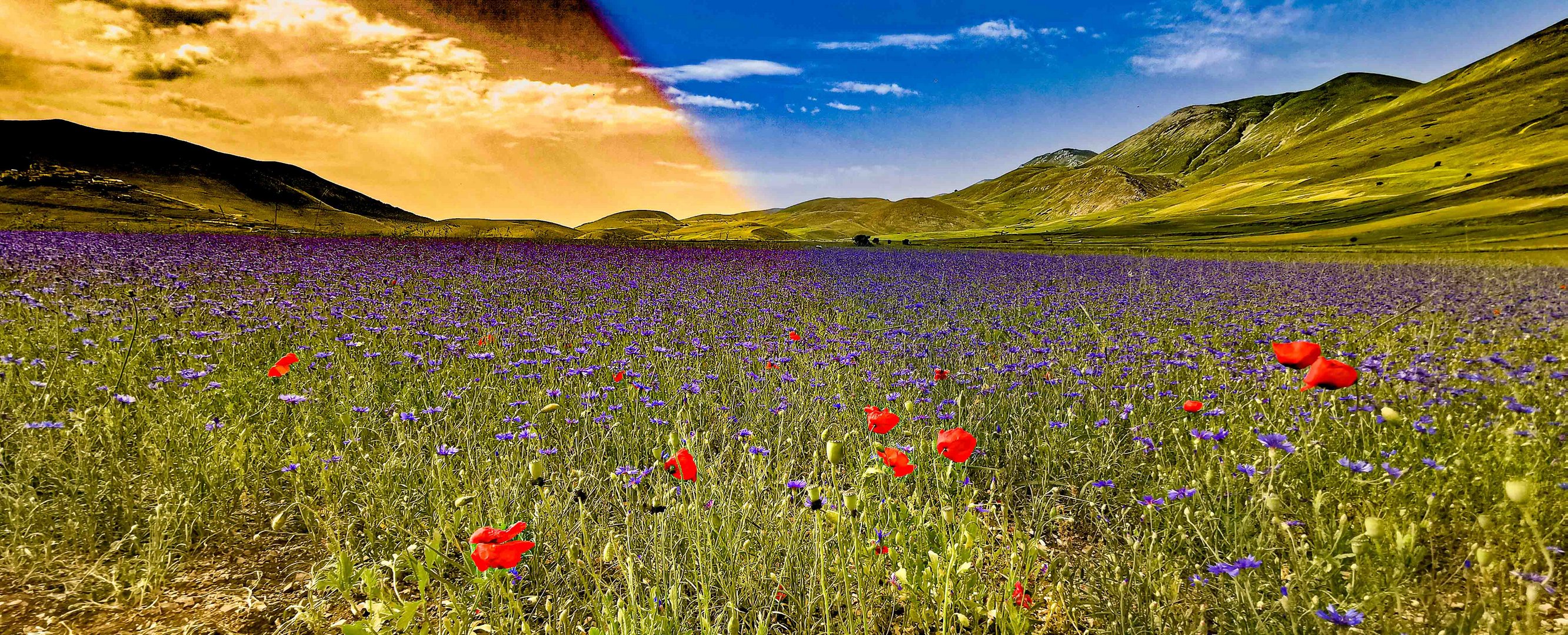 Castelluccio 2022