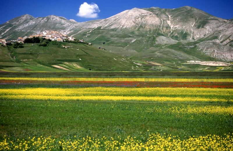 Castelluccio