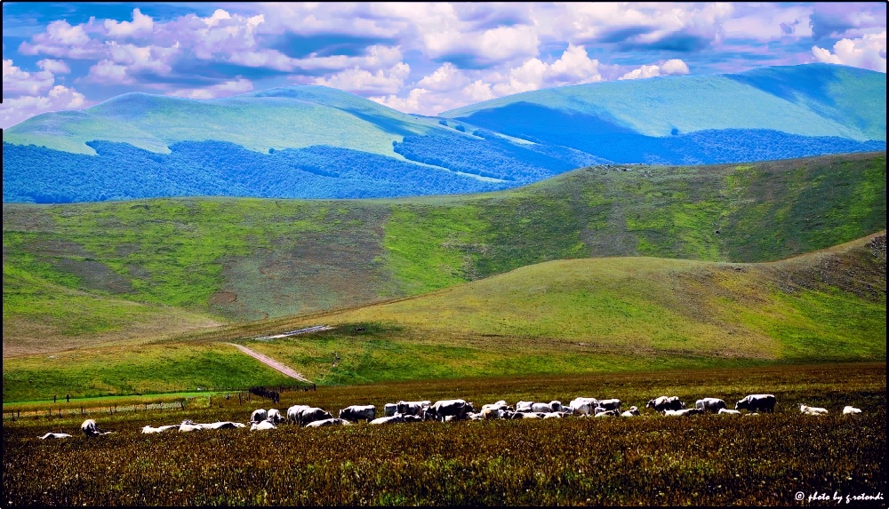 Castelluccio